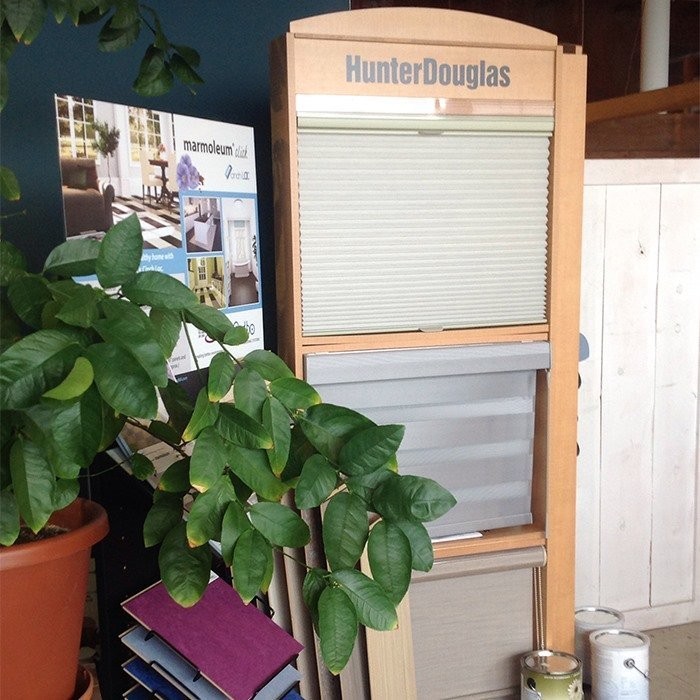 Hunter Douglas Dealer Image